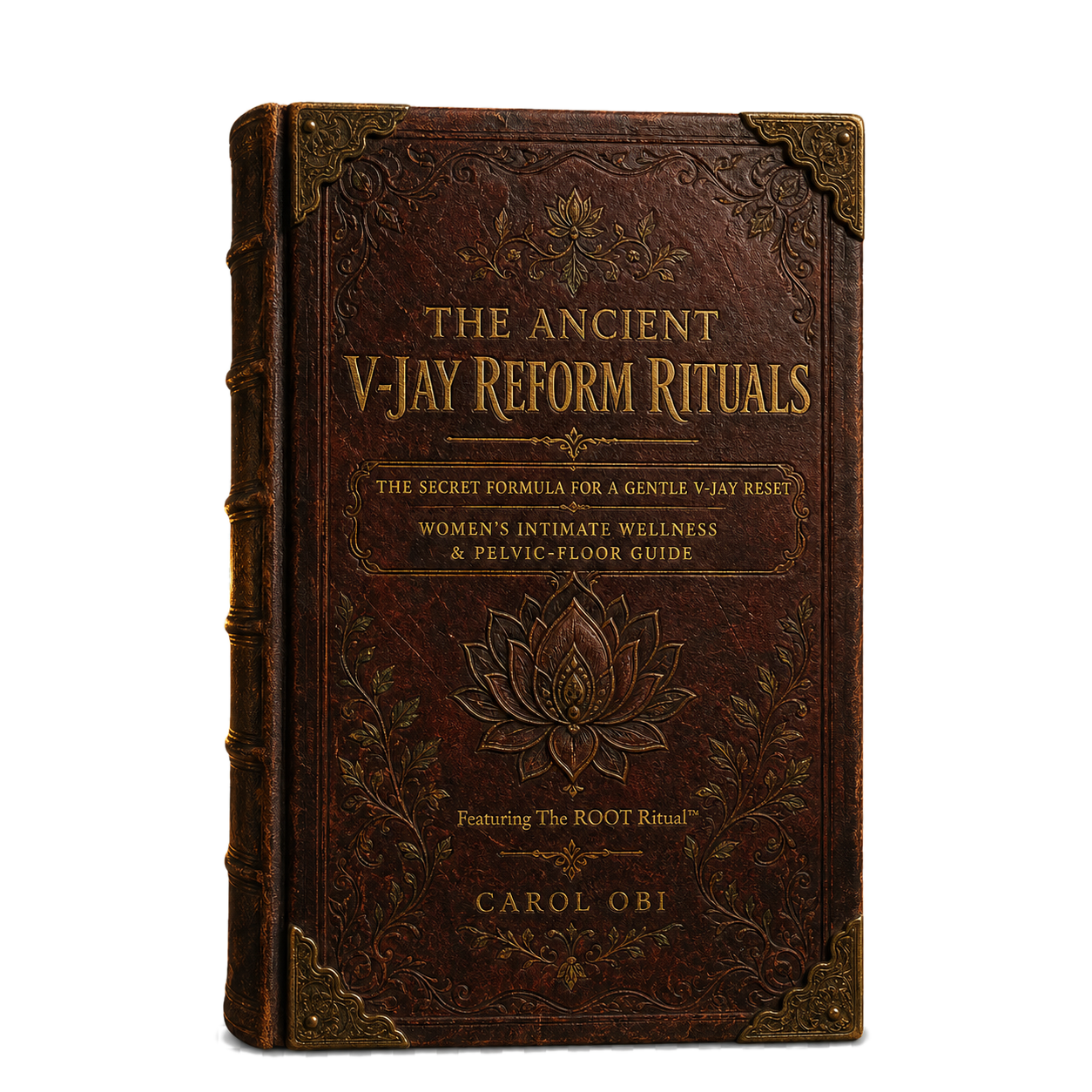 Main guide cover